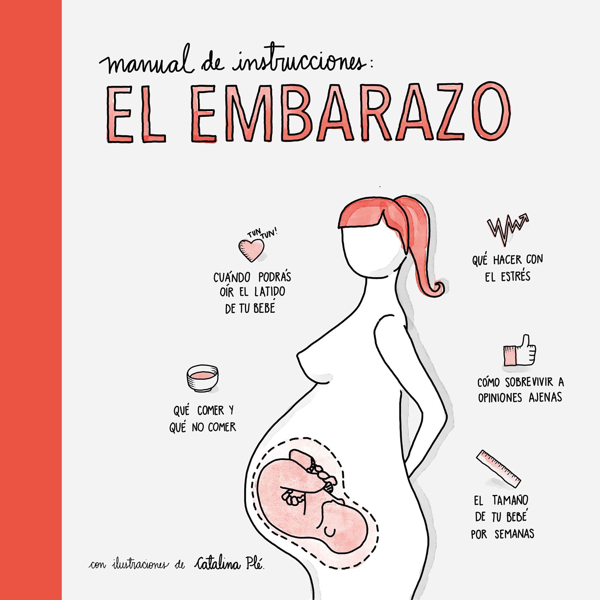 El Embarazo (Hardcover) 