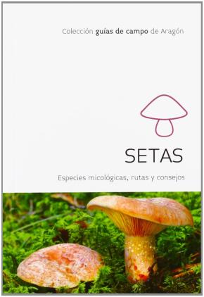 SETAS : ESPECIES MICOLÓGICAS, RUTAS Y CONSEJOS