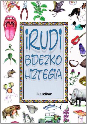 Irudi bidezko hiztegia