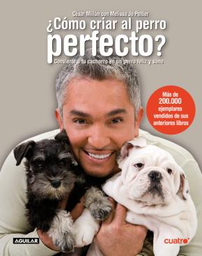 ¿Cómo criar al perro perfecto?