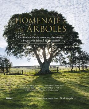 Homenaje a los árboles