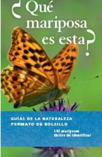 ¿QUE MARIPOSA ES ESTA?