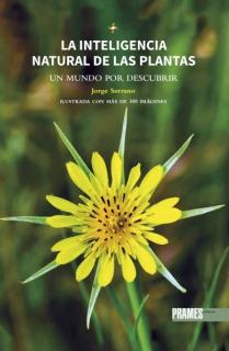 La inteligencia natural de las plantas. Un mundo por descubrir