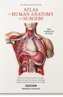 Jean Marc Bourgery. Atlas de anatomía humana y cirugía