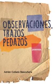 Observaciones, trazos, pedazos