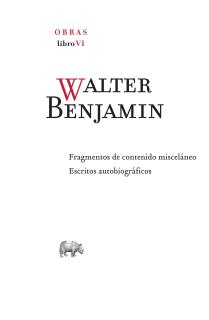 Obra completa. Libro VI