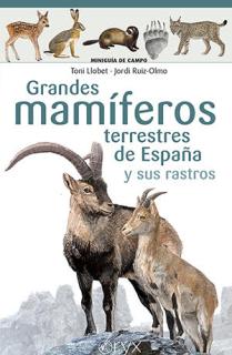 Grandes mamíferos terrestres de España y sus rastros