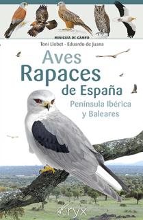 Aves rapaces de España, Península Ibérica y Baleares