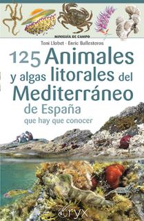 125 Animales y algas litorales del Mediterráneo de España que hay que conocer