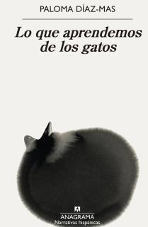 Lo que aprendemos de los gatos