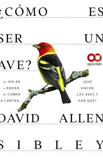 ¿Cómo es ser un ave? De volar a anidar, de comer a cantar... ¿Qué hacen las aves y por qué?