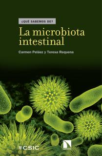 La microbiota intestinal