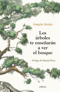 Los árboles te enseñarán a ver el bosque