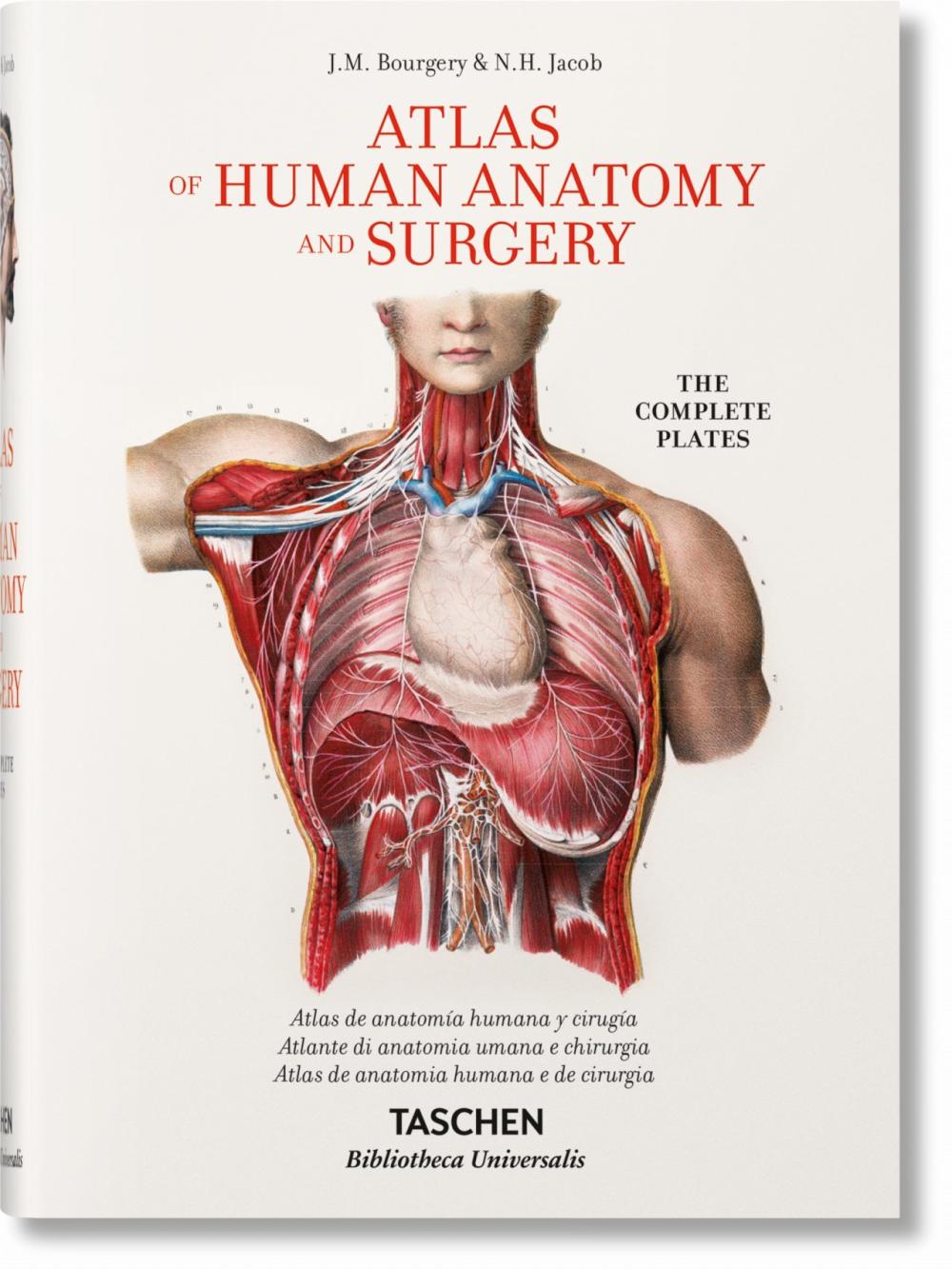 Jean Marc Bourgery. Atlas de anatomía humana y cirugía