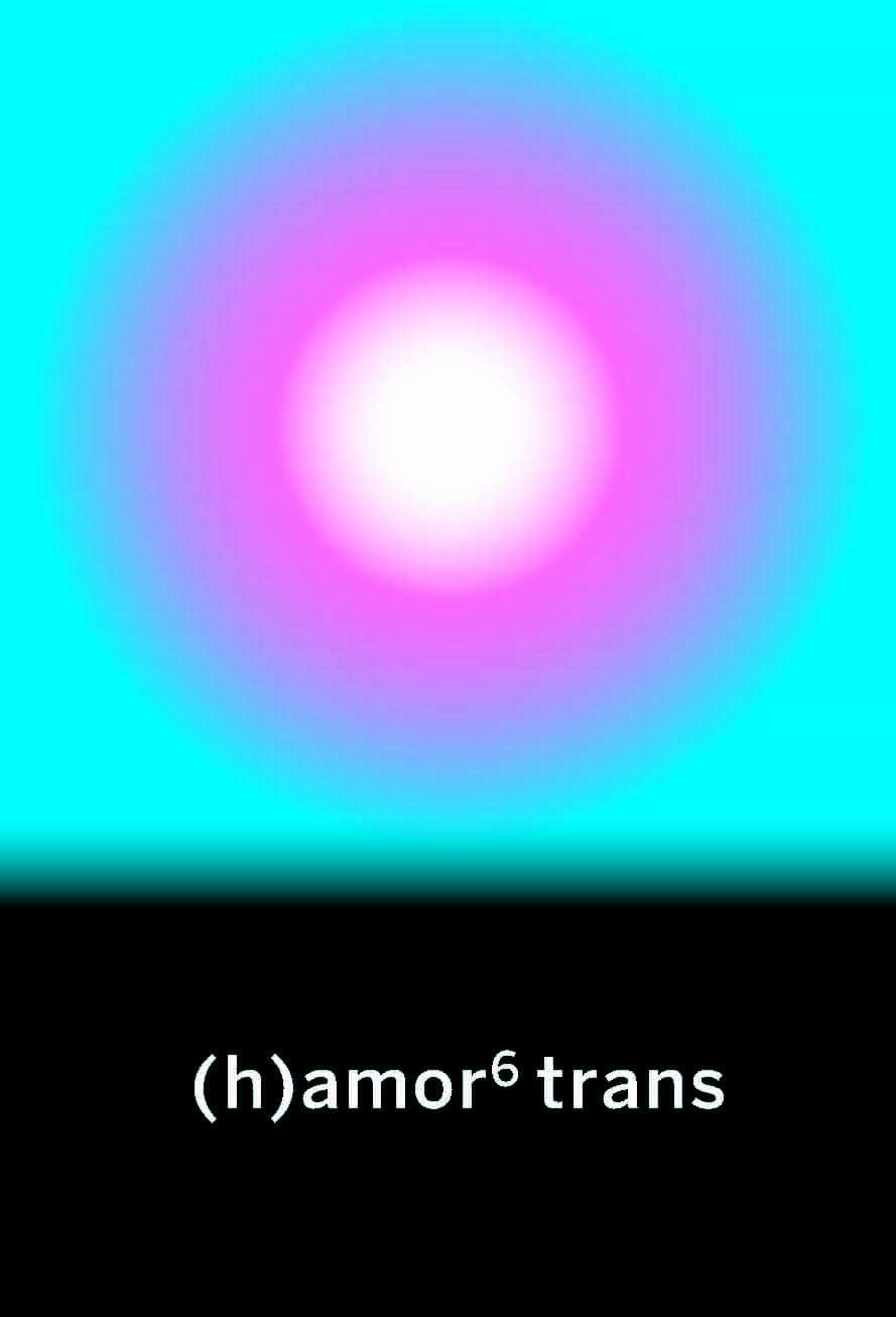 (h)amor 6 trans