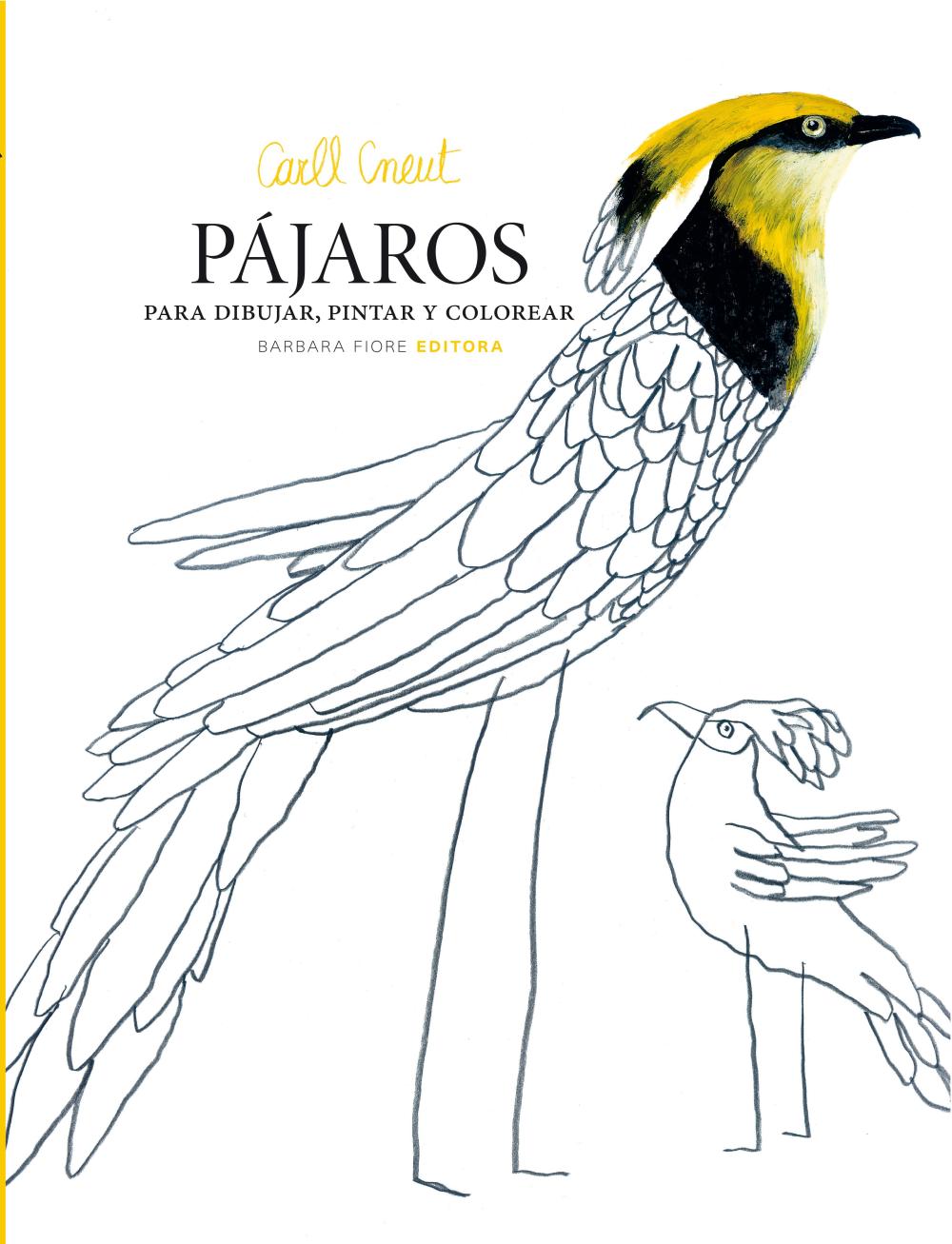 Pájaros para dibujar, pintar y colorear