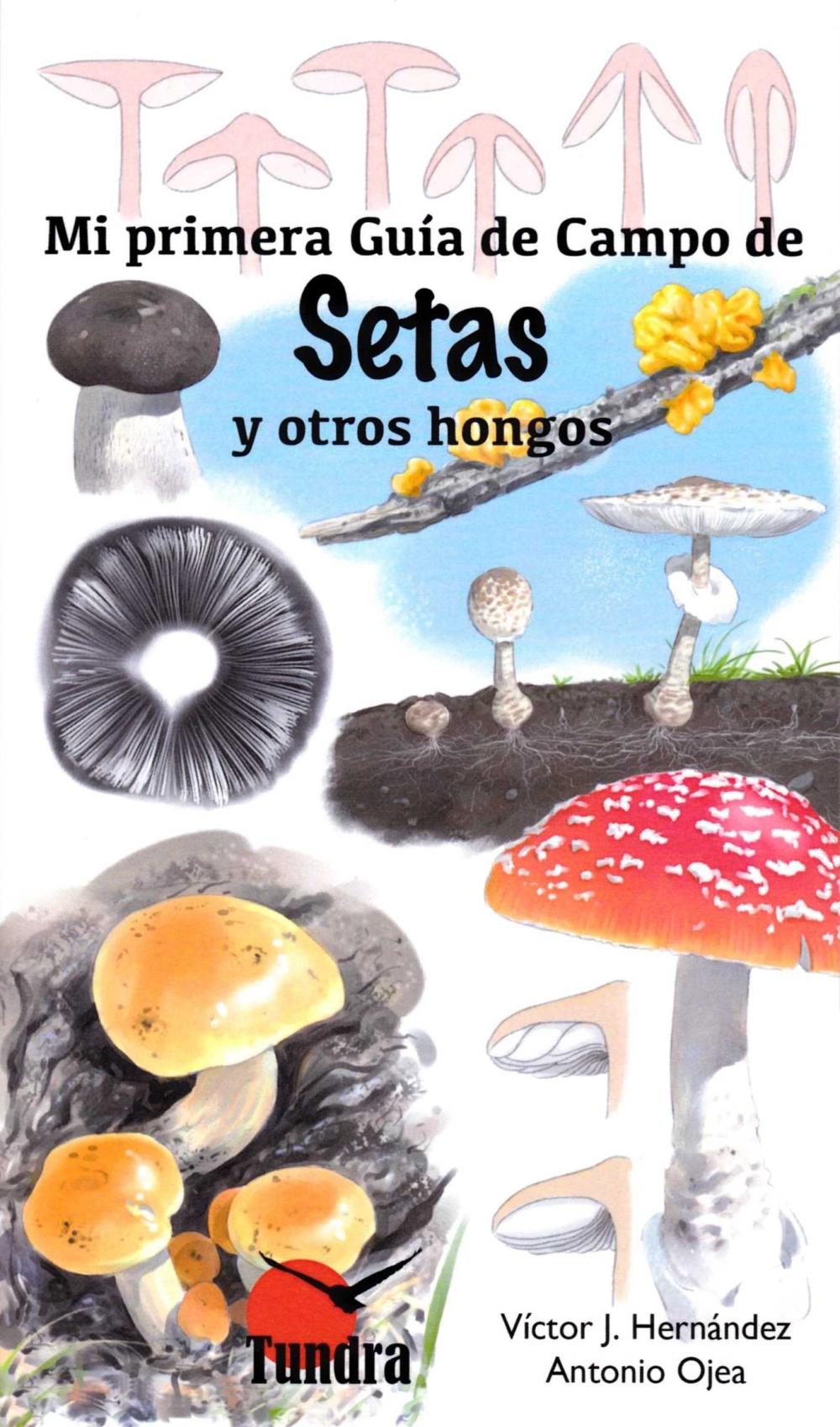 MI PRIMERA GUIA CAMPO DE SETAS Y OTROS HONGOS MI PRIMERA GUIA CAMPO DE SETAS Y OTROS HONGOS