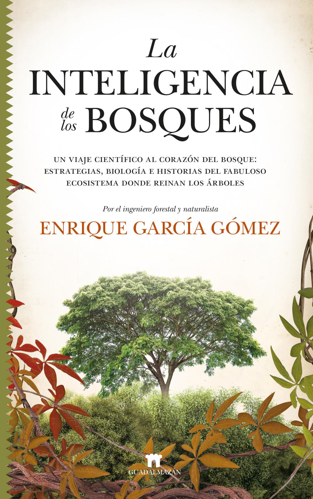 La inteligencia de los bosques