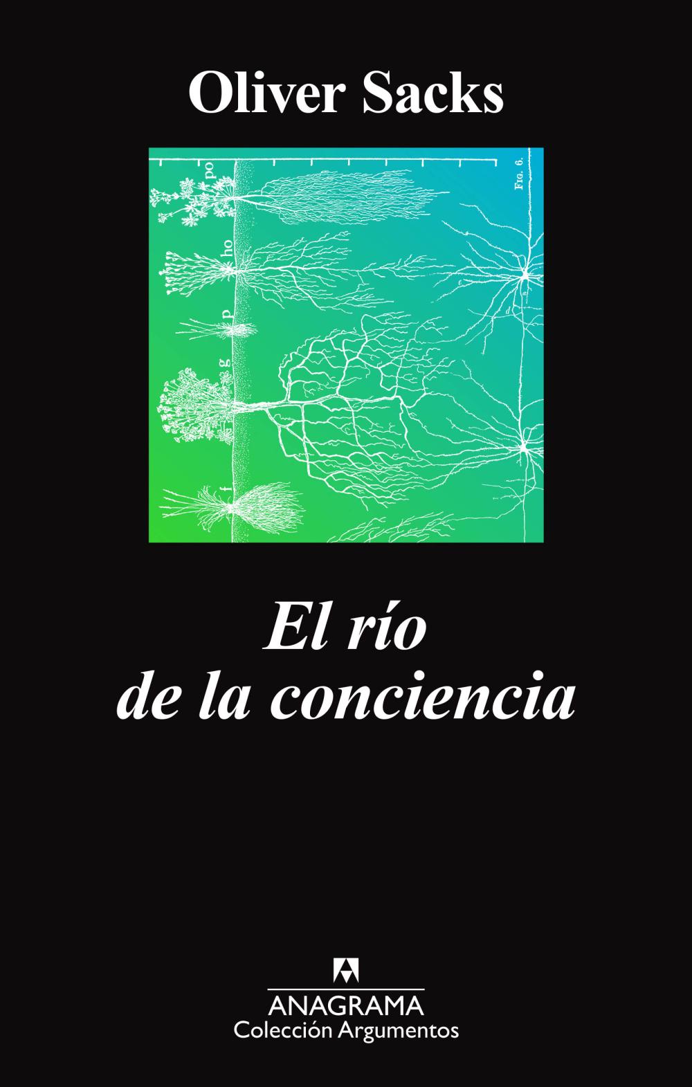 El río de la conciencia