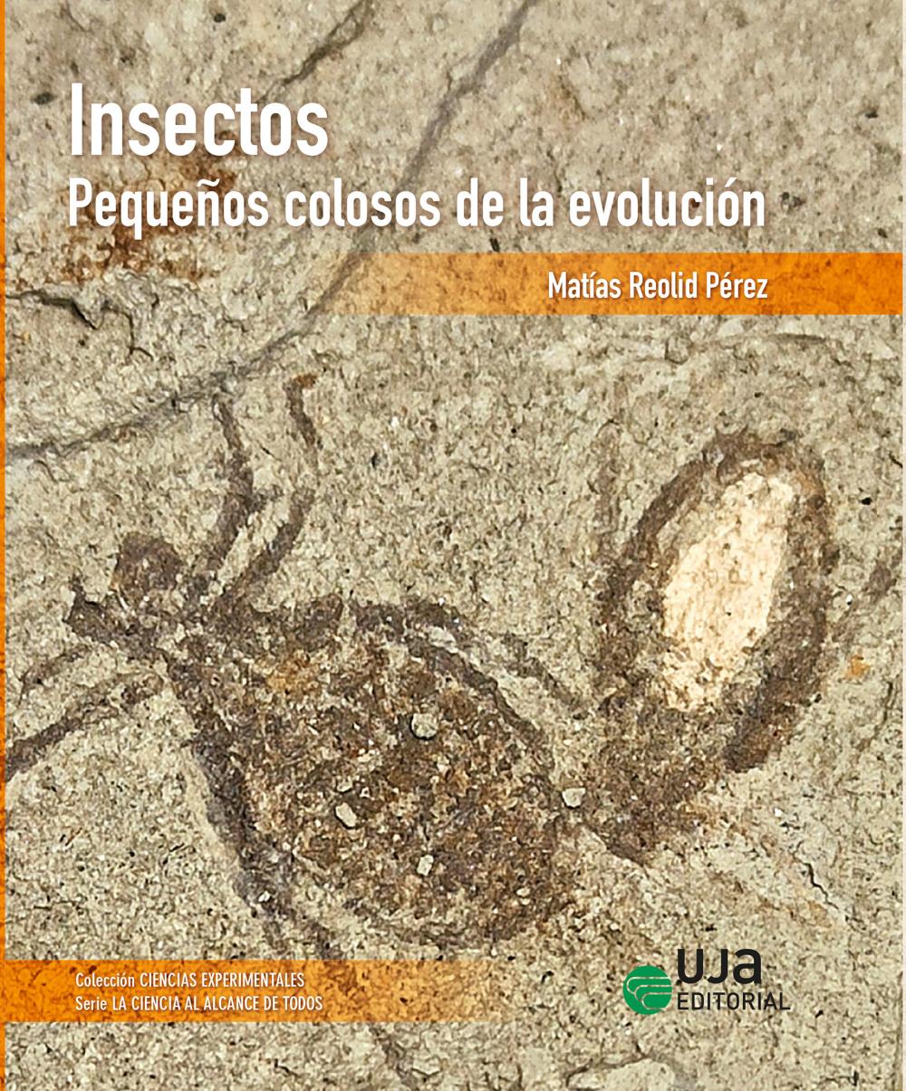 Insectos: pequeños colosos de la evolución