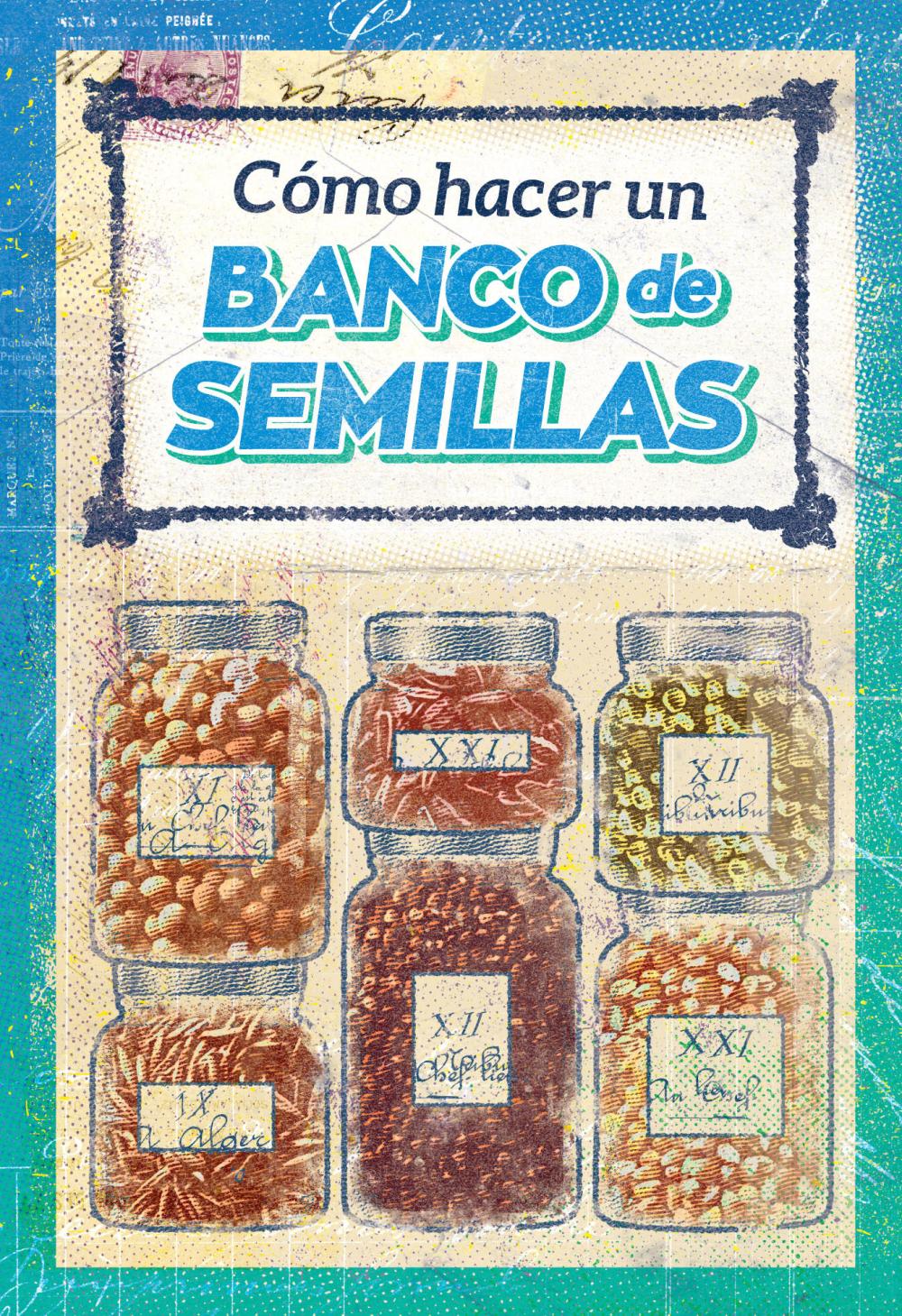 Cómo hacer un banco de semillas